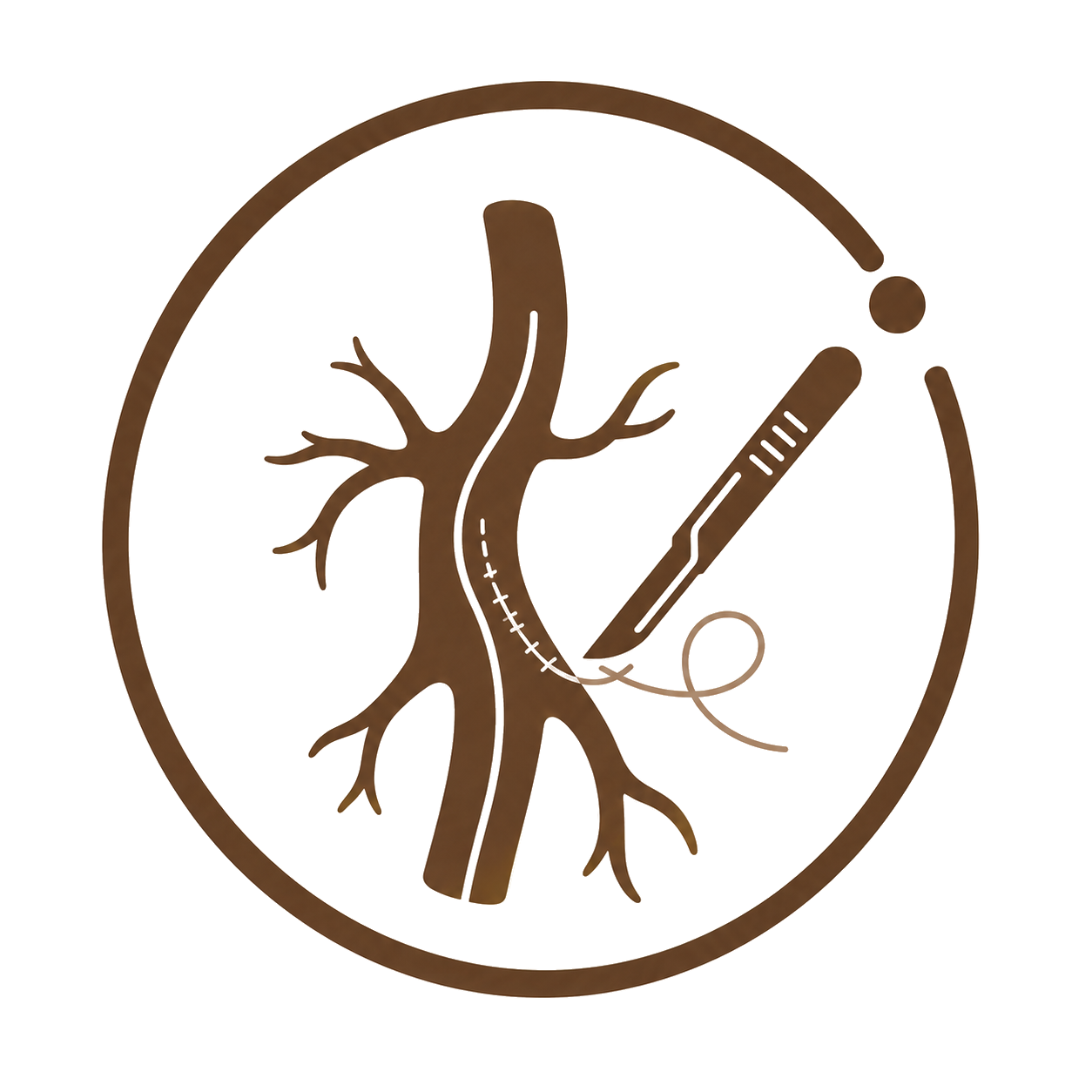 Vascular Surgery
